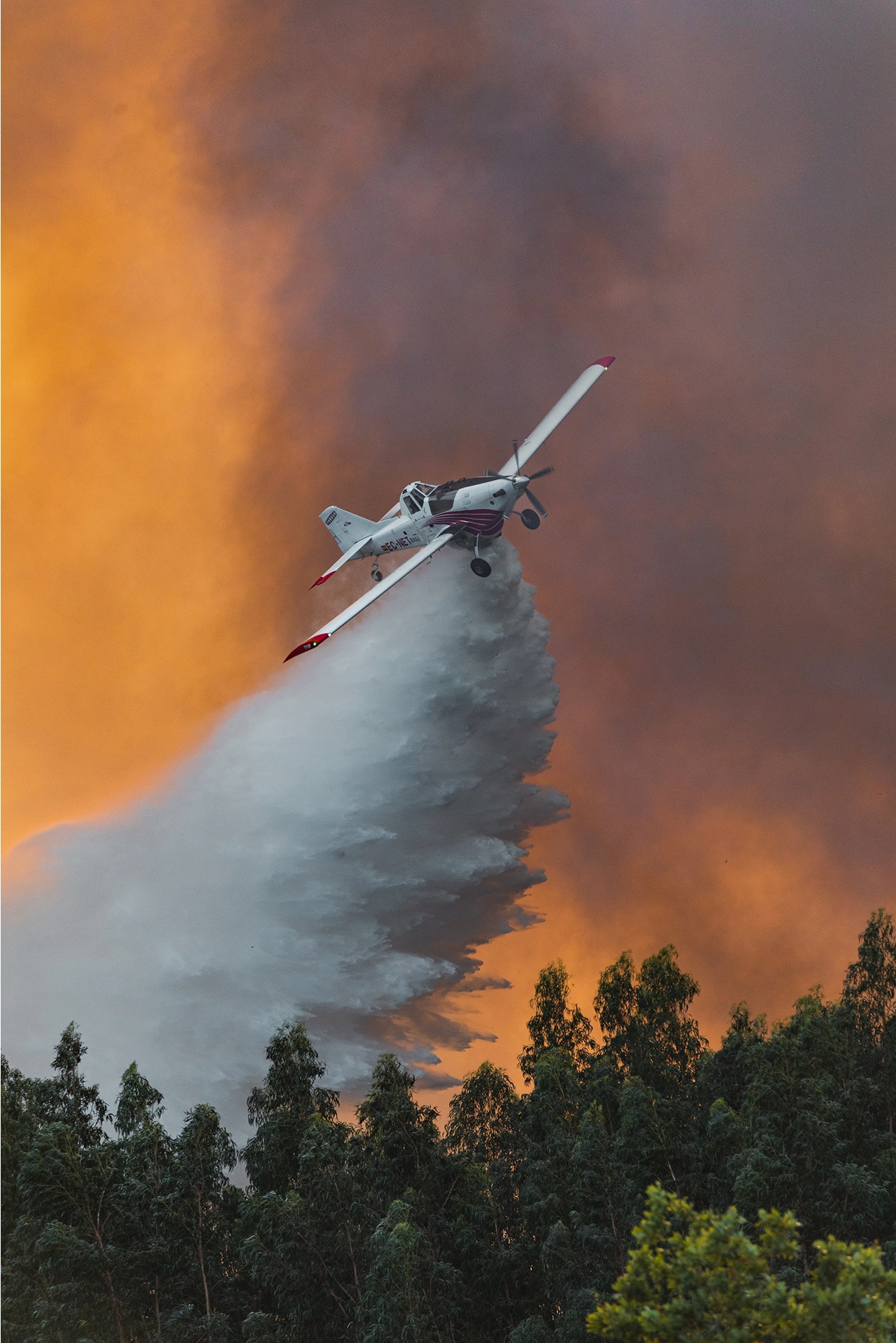 Imagen de avioneta incendio bosque