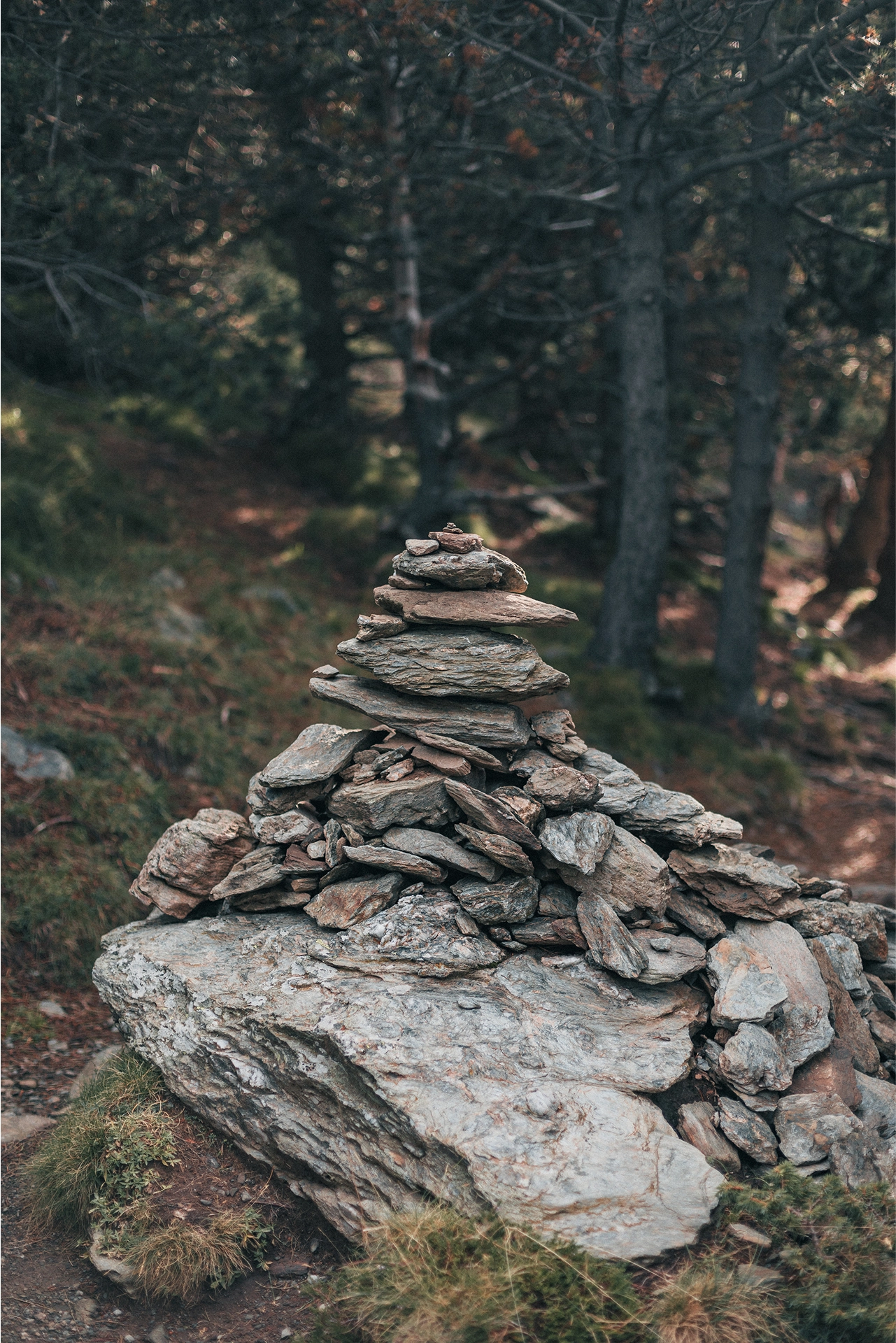 Imagen de montana rocas bosque